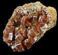 Large, Ruby Red Vanadinite Crystals - Morocco #51290-1